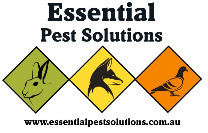 Work by Essential Pest Solutions - Pest Control Geelong