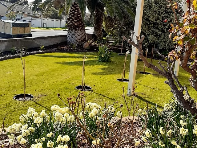 Work by Gardens of Aden