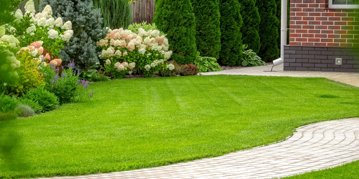 Work by Geelong Mow Co